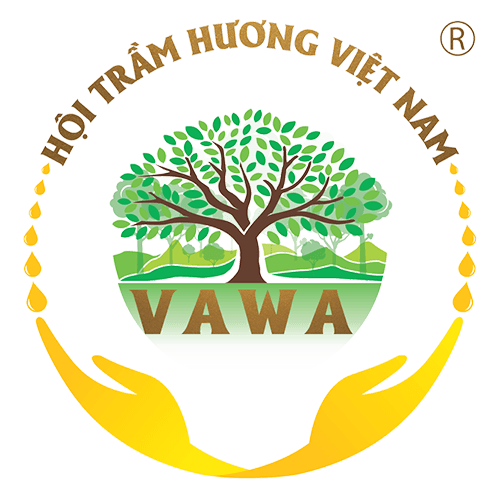 VAWA