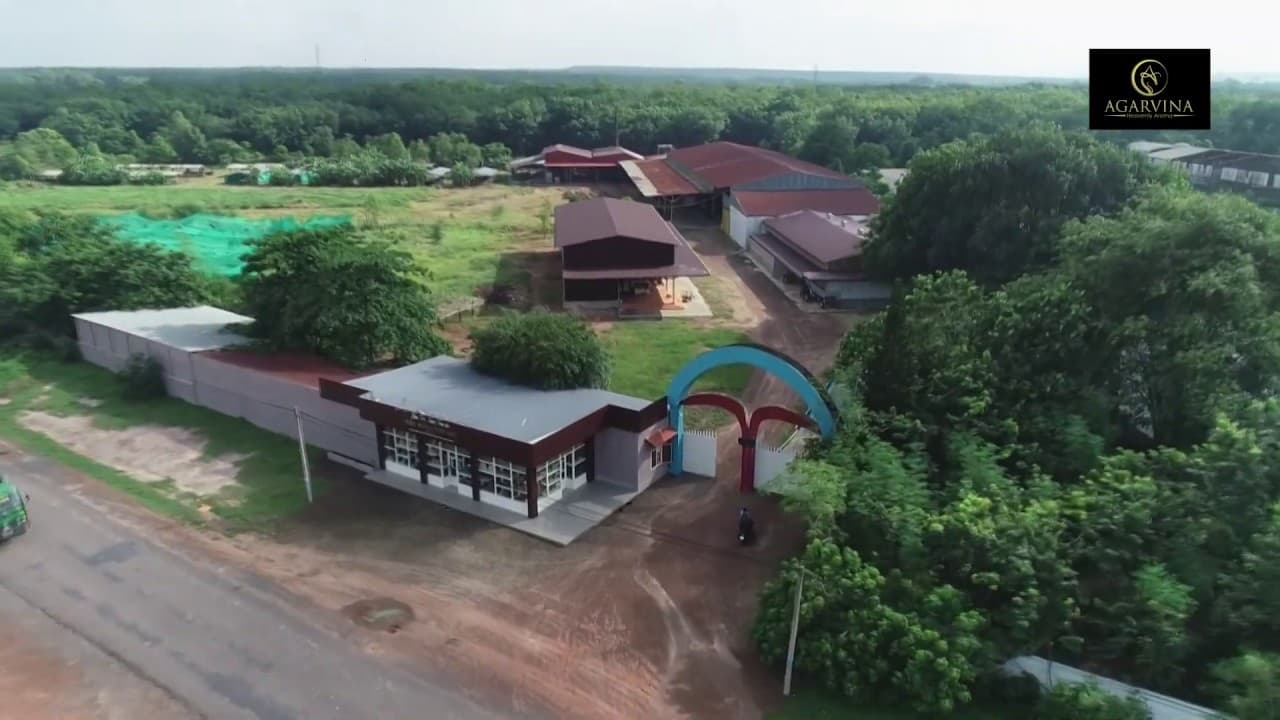 AGARVINA – Dấu ấn quy mô lớn, góp phần định hình vị thế ngành trầm hương Việt Nam