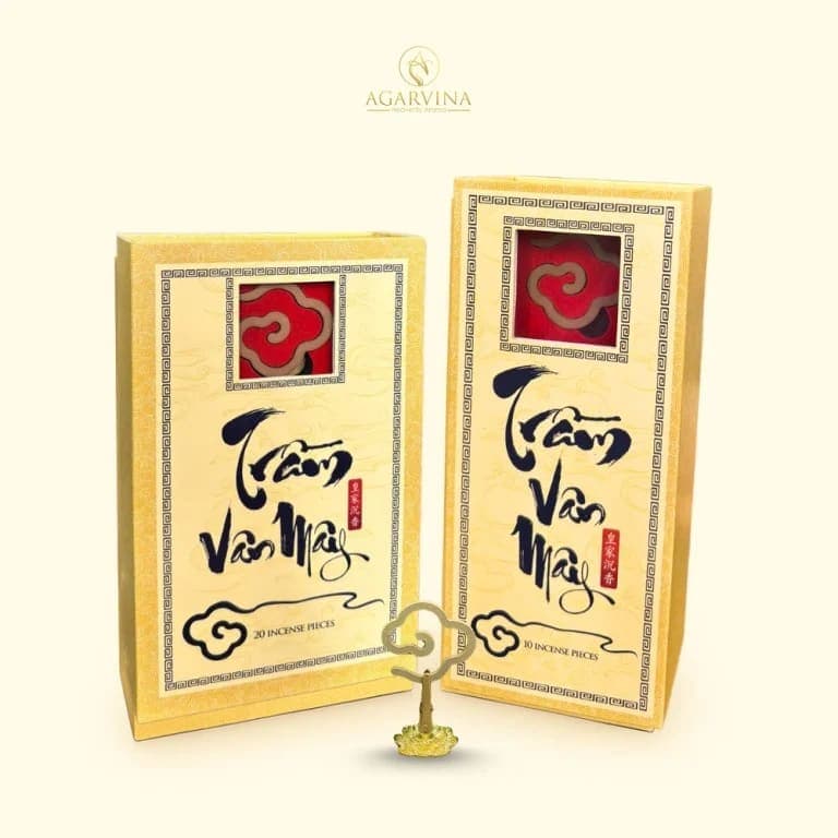 Trầm Vân Mây - ảnh 1
