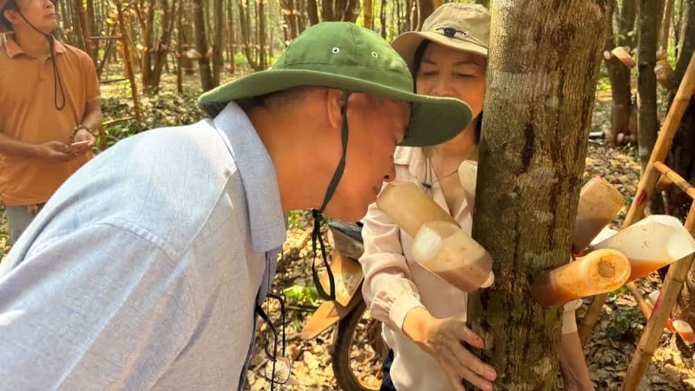 Muốn trầm hương Việt vươn tầm thế giới, không thể mãi “mạnh ai nấy nói”