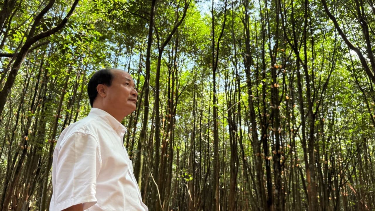 Cần cơ chế đất đai phù hợp cho vùng trồng trầm hương