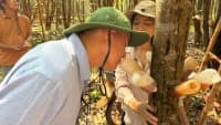 To bring Vietnamese agarwood to the global stage, we cannot continue with 'everyone speaking for themselves'