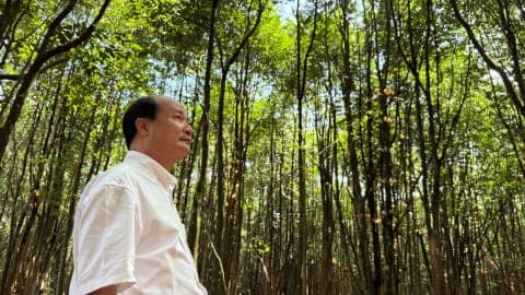 Cần cơ chế đất đai phù hợp cho vùng trồng trầm hương