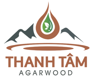 CÔNG TY CỔ PHẦN TRẦM THANH TÂM TTA