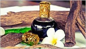 Vai trò của tinh dầu trong đời sống thực vật