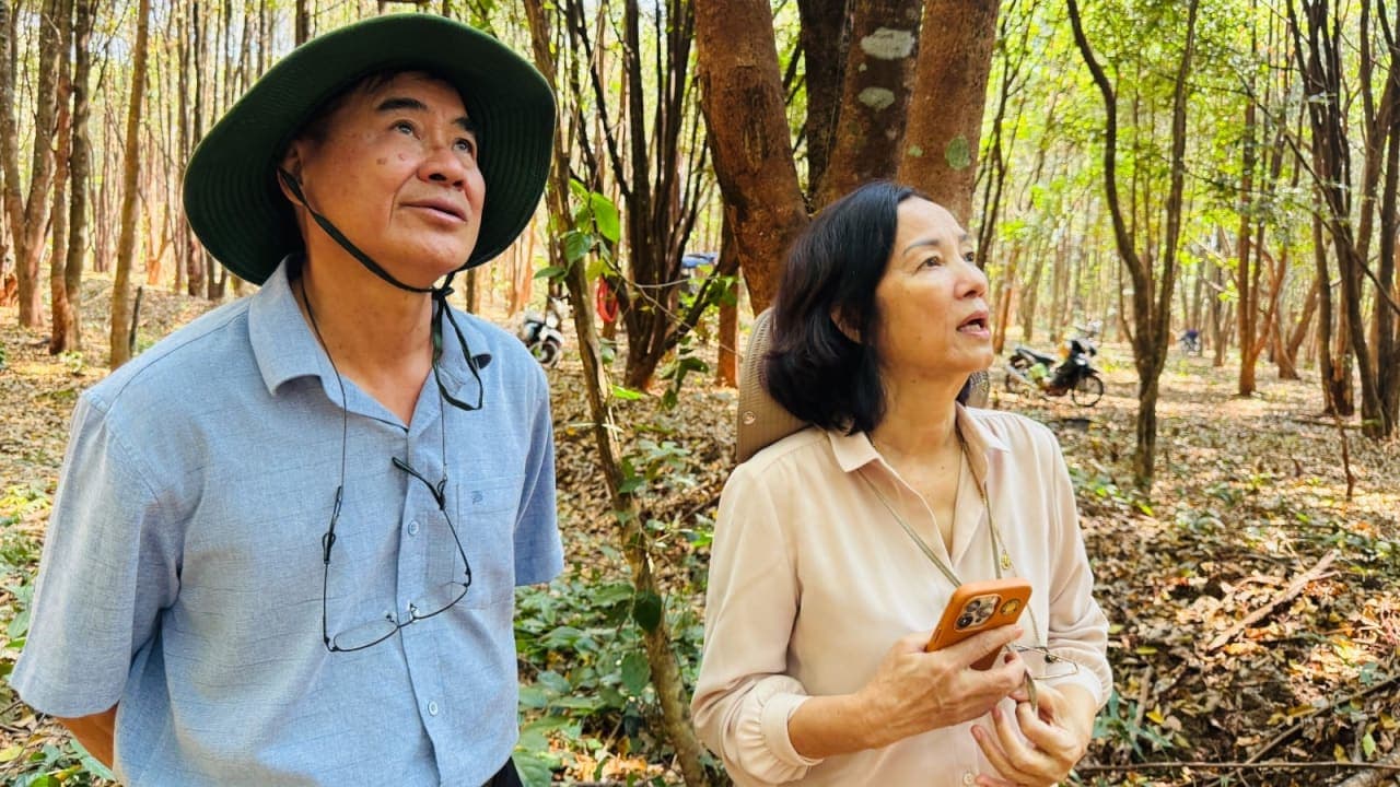 开发沉香森林生态系统用于疗愈旅游:潜力与科学依据